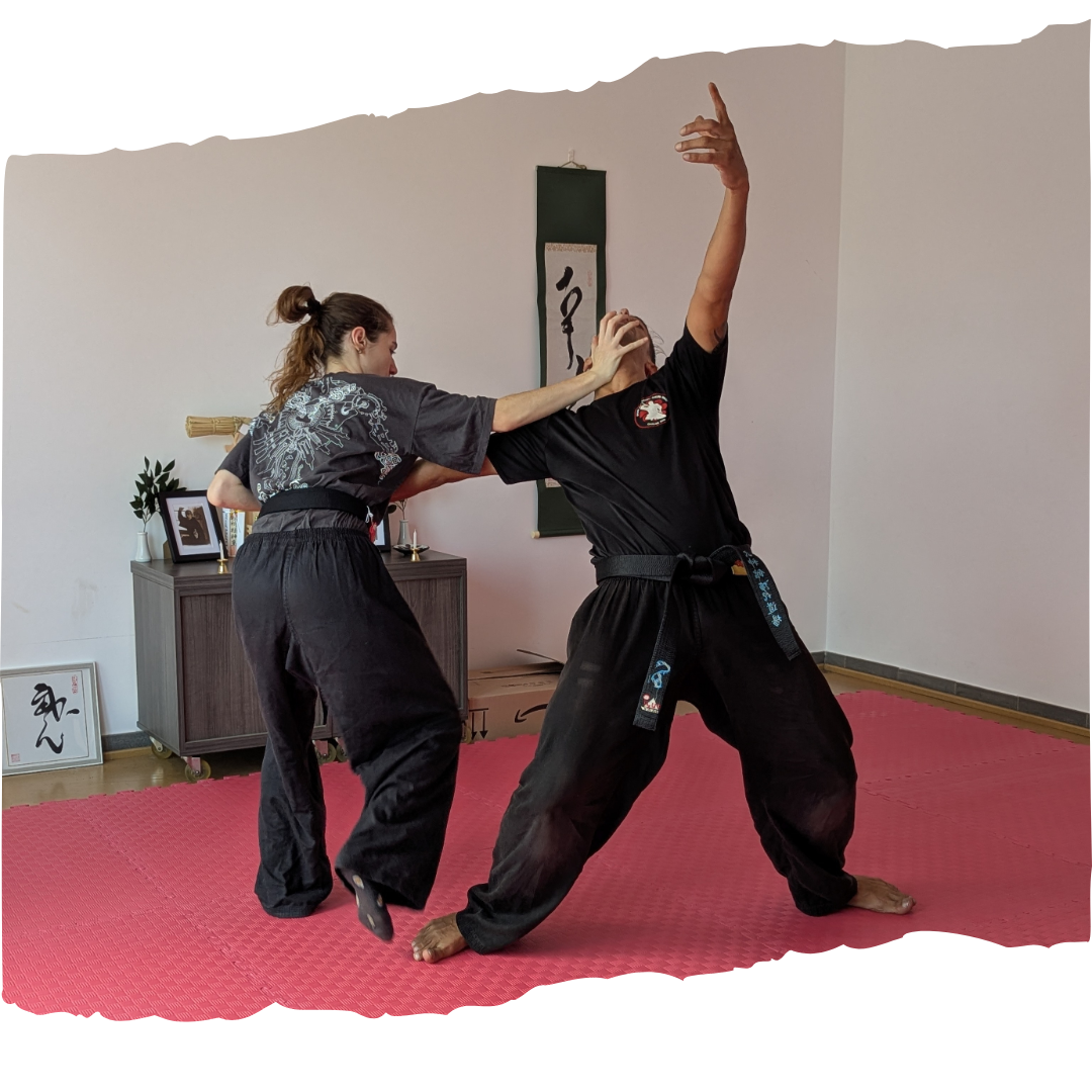 Bujinkan Sant Cugat Contacto
